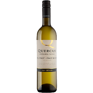 Vinho Branco Klet Brda Quercus Pinot Bianco 750ml