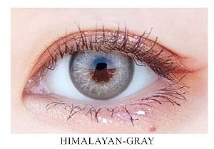 Himalaya Gray