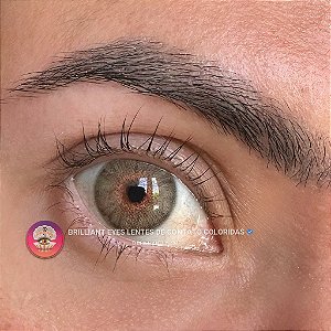 Urban Layer Berkeley (TODOS AS CORES)