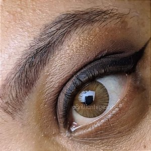 Urban Layer New York N Brown | COM E SEM GRAU