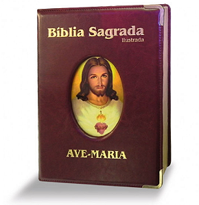 Biblia Ilustrada Luxo - Grande - Marrom  | FSJPII