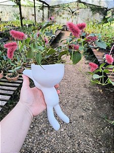 Cachepot Robert Escalando Branco