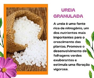 Ureia Granulada (500g)