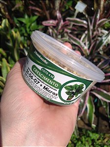 Plantacote Turf 31-06-07 - Crescimento (4 Meses)