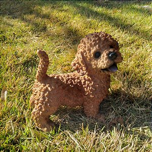 Poodle Marron em Resina (Cachorro)
