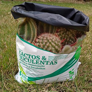 Substrato para Cactos e Suculentas - Vida Verde
