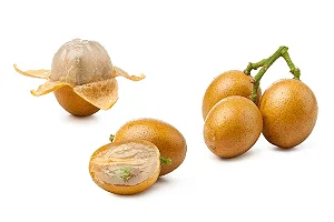 Wampee - Clausena lansium