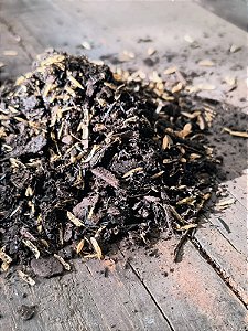 Solo Especial para Plantas Ornamentais