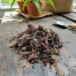 Substrato Especial para Platycerium Antúrio Samambaia