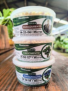 Kit Plantacote Trio Especialista: Crescimento, Enraizamento e Manutenção