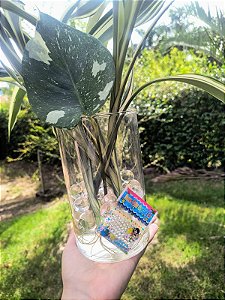 Bolinhas de Gel Multicor Seven Color Crystal Ball