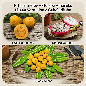 Kit Frutíferas – Goiaba Amarela, Pitaya Vermelha e Cabeludinha