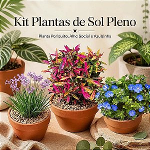 Kit Plantas de Sol Pleno - Azulzinha, Alho Social e Periquito