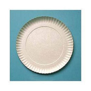 PRATO PAPELAO N 05 C/100 23CM