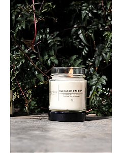 Vela Folhas de Pinheiro 180g - The Candle