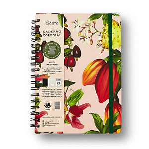 CADERNO ESPIRAL FRUTOS PAUTADO 17X24 CACAU - CÍCERO