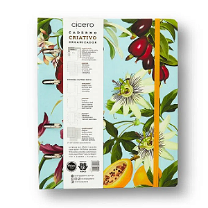 CADERNO CRIATIVO ARGOLADO ORGANIZADOR FRUTOS PAUTADO 17X24 ABACAXI - CÍCERO