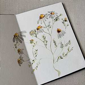 OFICINA PRESENCIAL DE AQUARELA | EDIÇÃO PRIMAVERA: MARGARIDAS