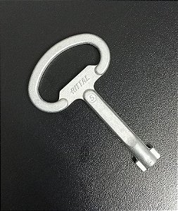 SZ 2531.000 Chave Para Armario De Palheta Dupla -RITTAL
