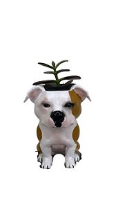 Vaso Staffordshire Terrier