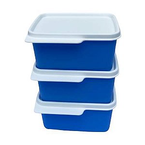Tupperware Kit Basic Line 500ml Azul