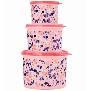 Tupperware Kit Tupper Caixa Jardim das Maes 3 Pecas