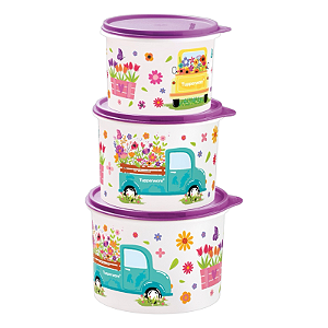 Tupperware Kit Tupper Caixas Caminho das Flores 3 peças