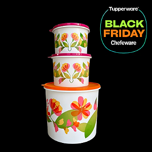 Tupperware Kit Tupper Caixa Florescência 3 Peças