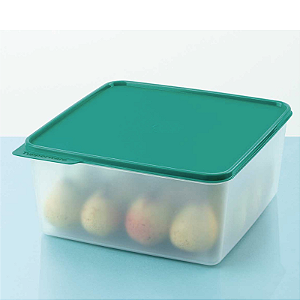 Tupperware Basic Line 5 Litros Tampa Verde