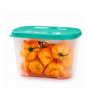 Tupperware Freezer Mate 300ml Tampa Verde Base Traslucida