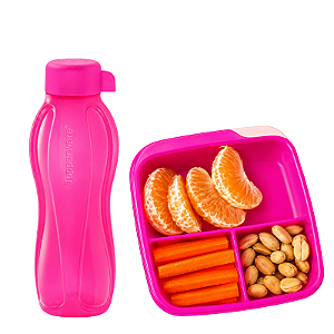 Tupperware Kit Basic Line 550ml Com Divisórias + Eco Garrafa 500ml Rosa