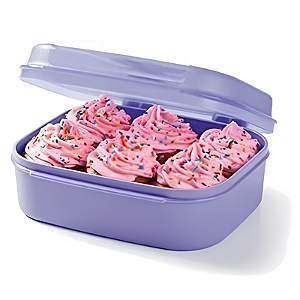 Tupperware Visual Box Pequeno 1,1 Litros Roxo