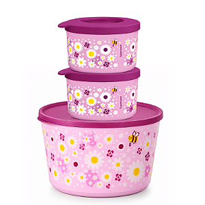 Tupperware Kit 3 Tigelas Ilumina Margarida