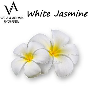 ESSÊNCIA WHITE JASMINE VA CANDLE
