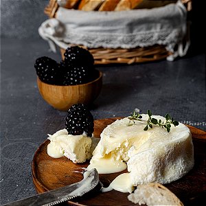 Queijo Gorgonzola Cremoso Fracionado Ou Inteiro - O QUEIJÓLATRA - Trem Bom  de Minas