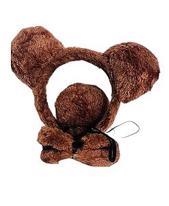 Kit  Urso