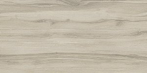 Porcelanato 60x120 Caja Acetinado Retificado Delta - cx2,880