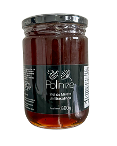 Mel de Melato da Bracatinga 800g
