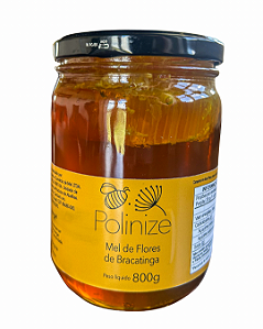 Mel com Favo de Mel Amargo da Flor da Bracatinga 800G