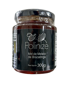 Mel de Melato da Bracatinga 300g