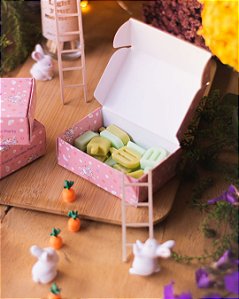 Wax Melts Ice Melon
