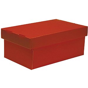 Caixa Organizadora Novaonda Vermelha Mini 285x175 Un 021707 Polibras