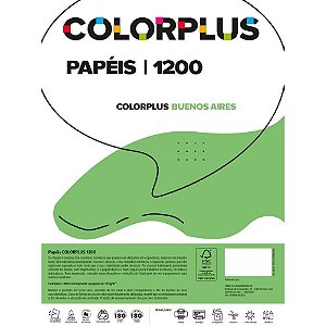 Papel Cartolina Dupla Face Color Plus 48X66Cm 120G Verde Blendpaper