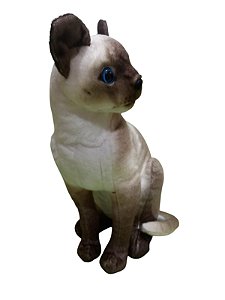 Gato siamês