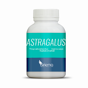 Astragalus 500mg 60 caps