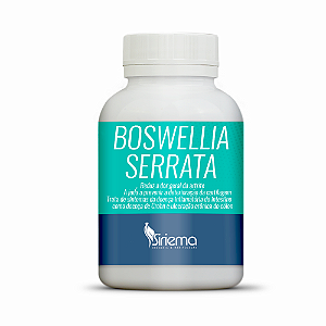 Boswellia Serrata 300mg 120 caps