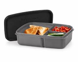 Tupperware Basic Line com Divisórias 1 litro Cosmos