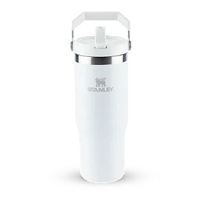 TUMBLER FROST 887MLTERM STANLEY FLIP STRAW 8356