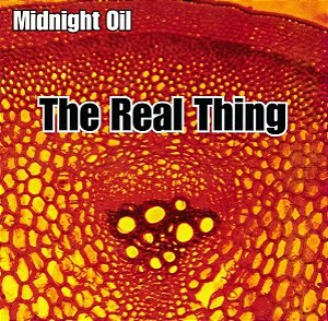 Midnight Oil - The Real Thing (Usado)