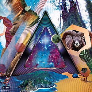 311 - Universal Pulse (Usado)